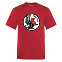 Griffons - Chandails à Manche Courte Enfant - Imprimé LF/Youth T-shirts - Printed FF
